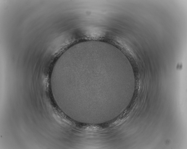 X0000094190599200711021030