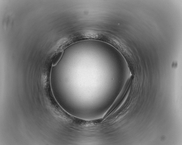 X0000094190600200711021030