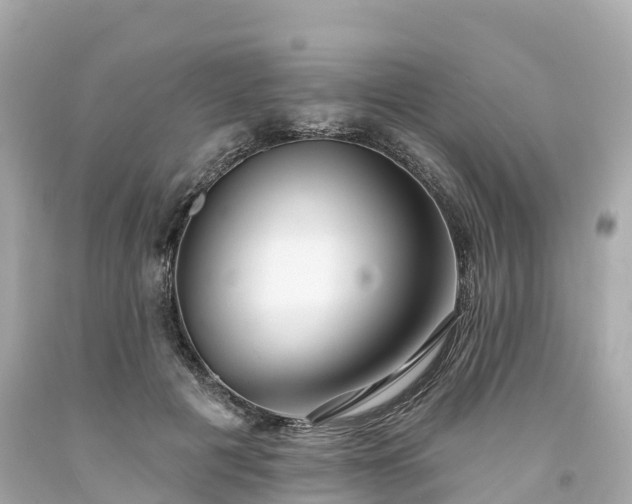 X0000094190601200711021030