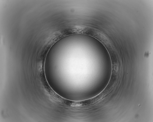 X0000094190602200711021030