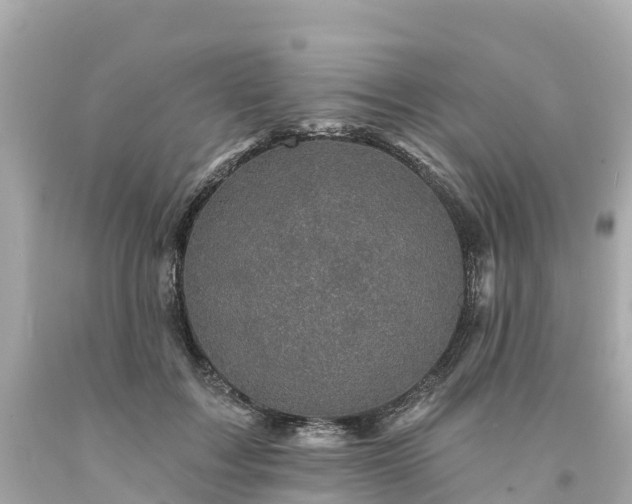 X0000094190603200711021030