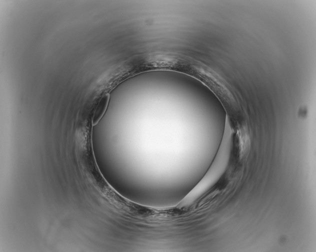 X0000094190604200711021030