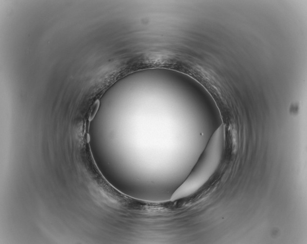 X0000094190605200711021030