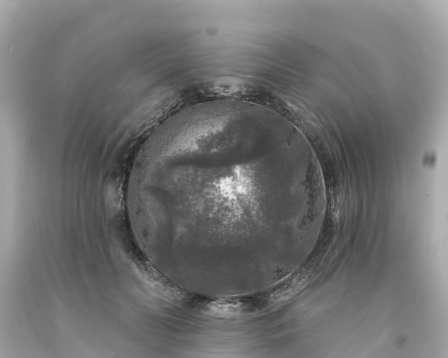 X0000094190606200711021030