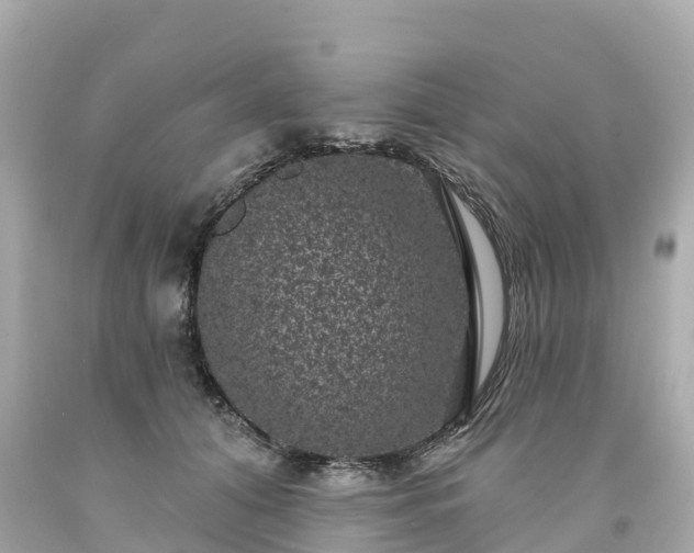 X0000094190608200711021030