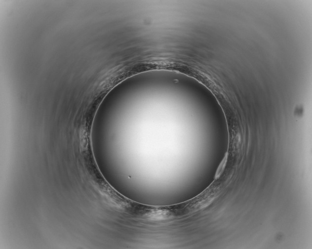 X0000094190609200711021030