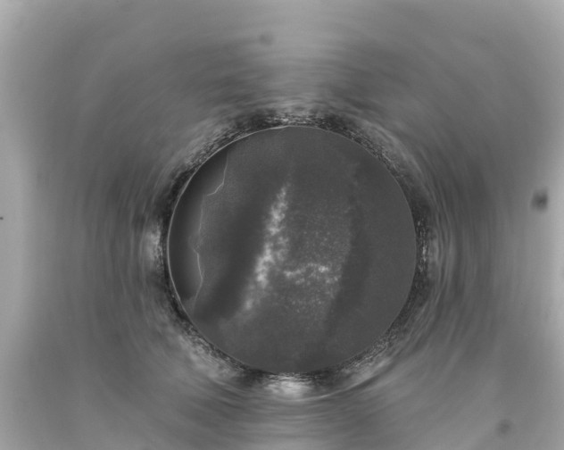 X0000094190610200711021030