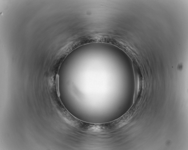 X0000094190611200711021030