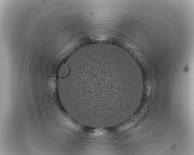 X0000094190612200711021030