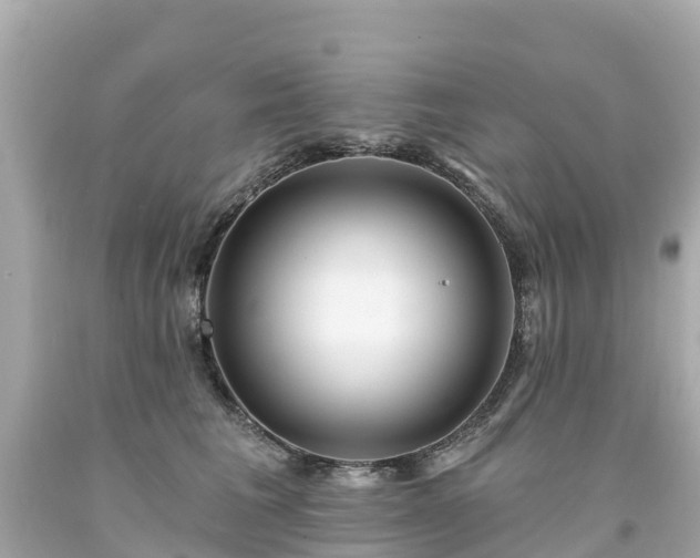 X0000094190613200711021030