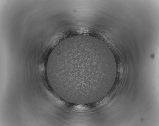 X0000094190614200711021030