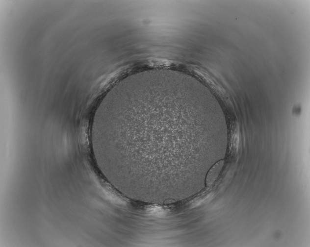 X0000094190616200711021030