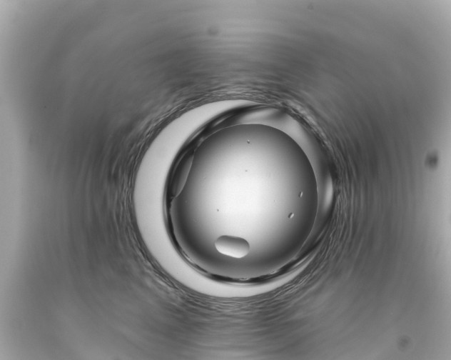 X0000094190617200711021030