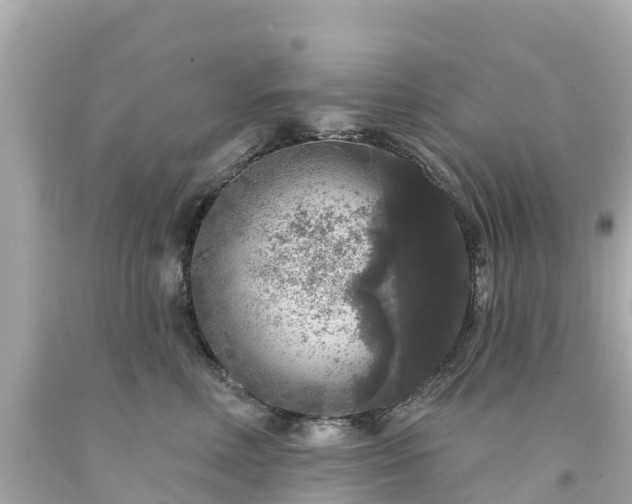 X0000094190618200711021030