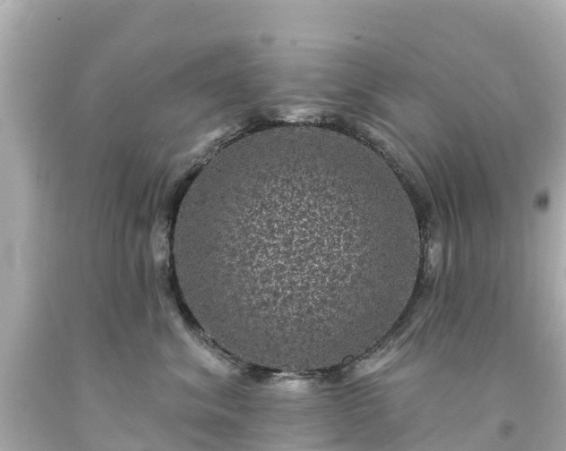 X0000094190620200711021030