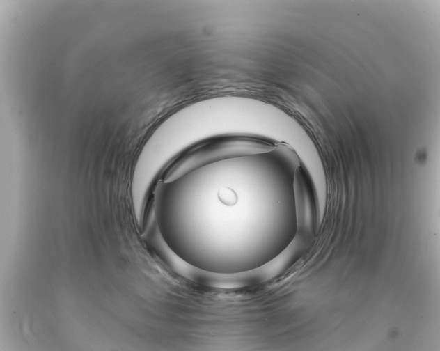 X0000094190621200711021030