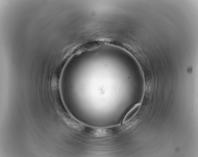 X0000094190623200711021030