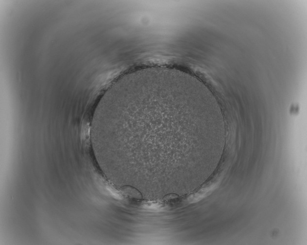 X0000094190624200711021029