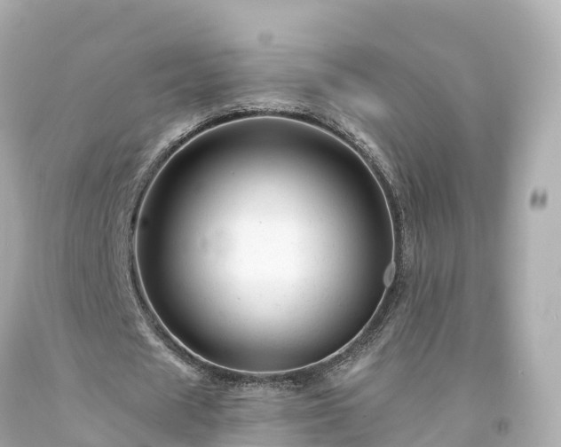 X0000094190625200711021029