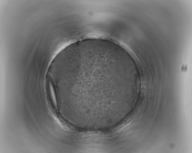 X0000094190626200711021029