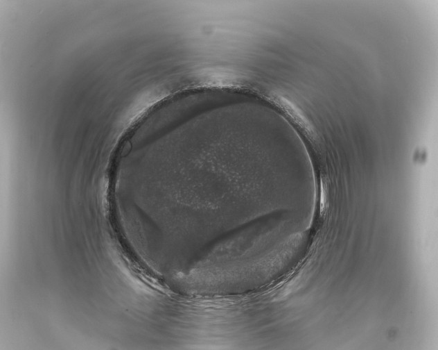 X0000094190627200711021029