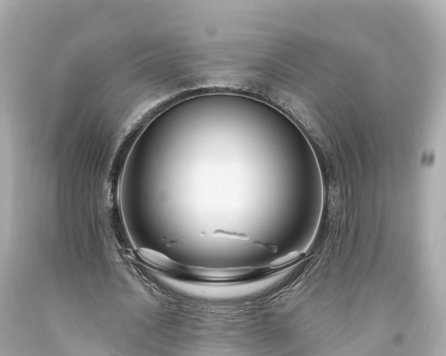 X0000094190628200711021029