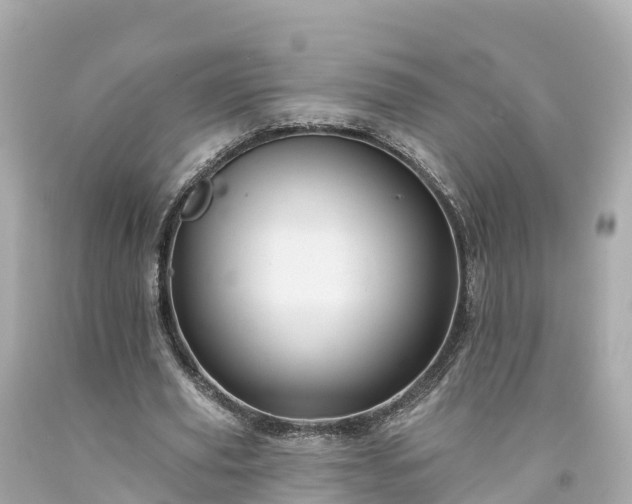 X0000094190629200711021029