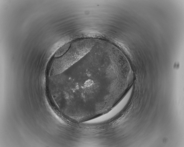 X0000094190630200711021029