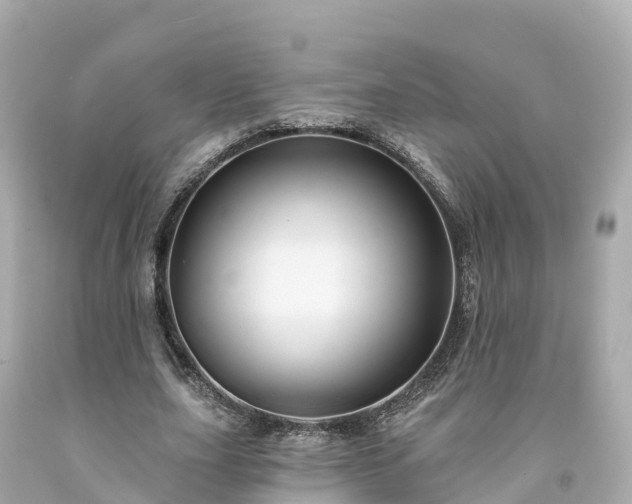 X0000094190631200711021029