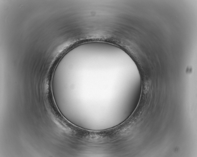 X0000094190632200711021029