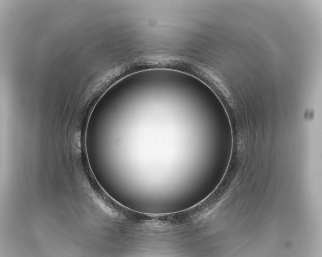 X0000094190633200711021029