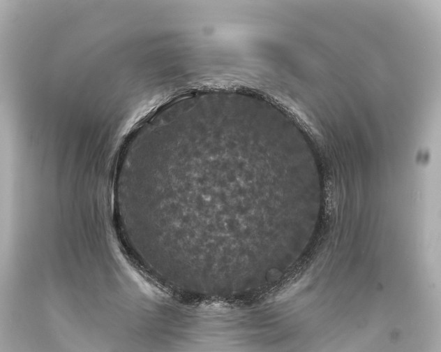 X0000094190634200711021029