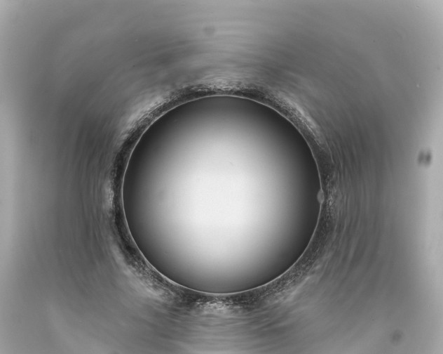 X0000094190635200711021029