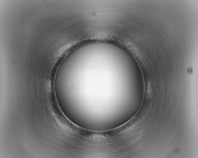 X0000094190636200711021029