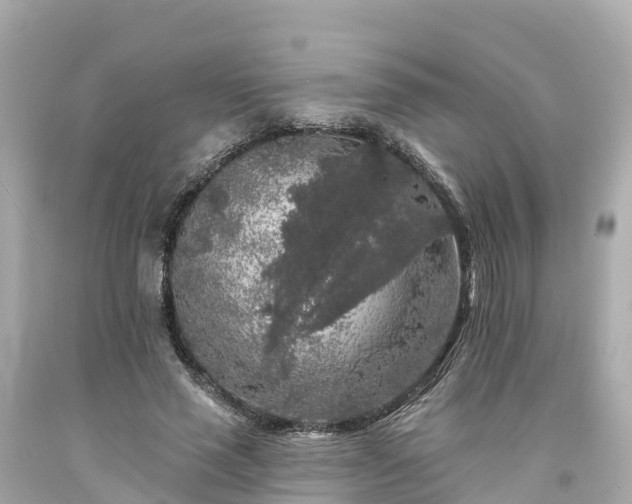 X0000094190637200711021029