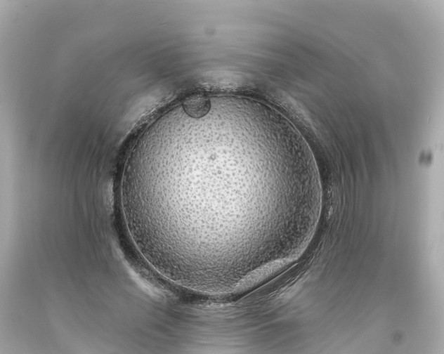 X0000094190638200711021029