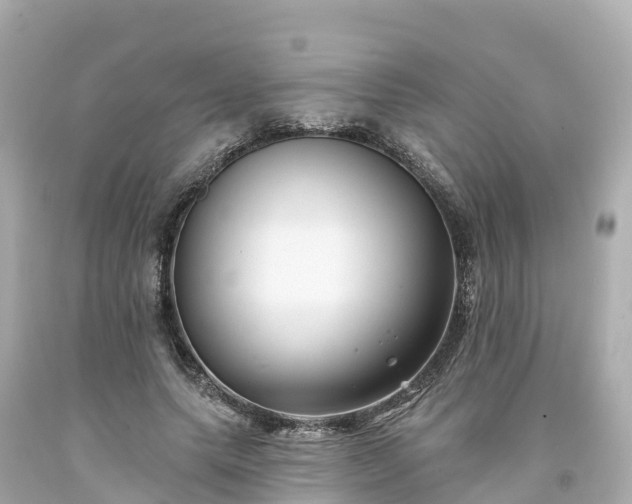 X0000094190639200711021029