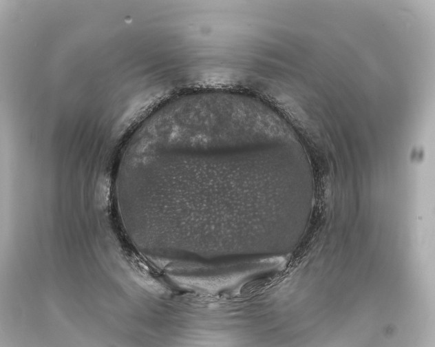 X0000094190640200711021029