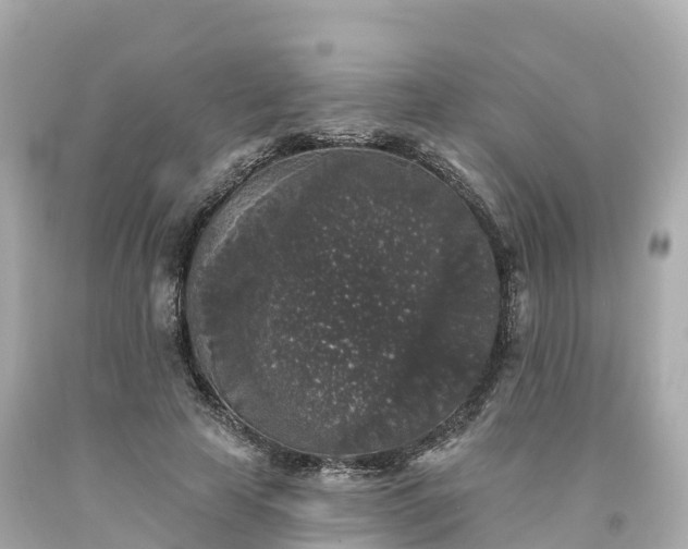 X0000094190641200711021029