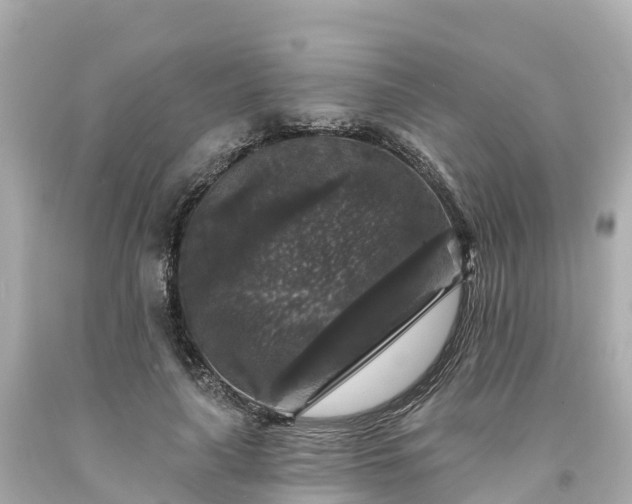 X0000094190643200711021029