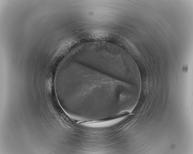 X0000094190644200711021029