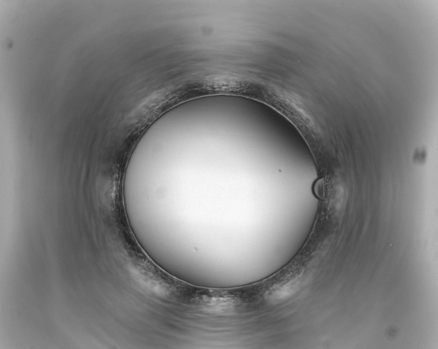 X0000094190645200711021029