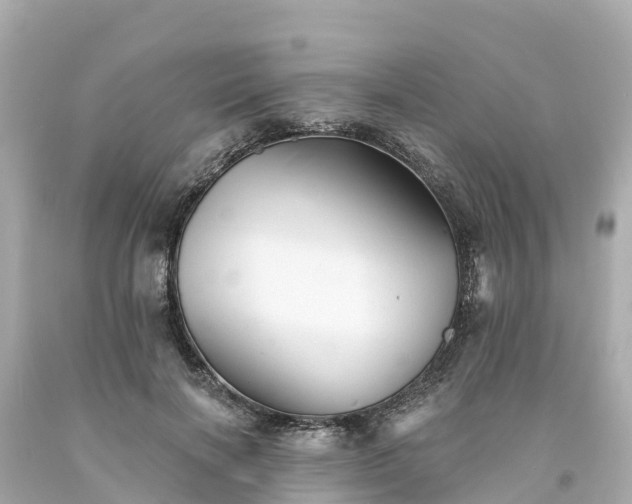 X0000094190646200711021029