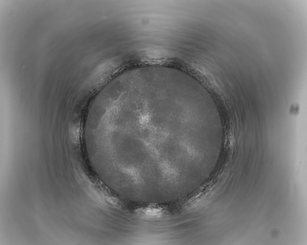 X0000094190647200711021029