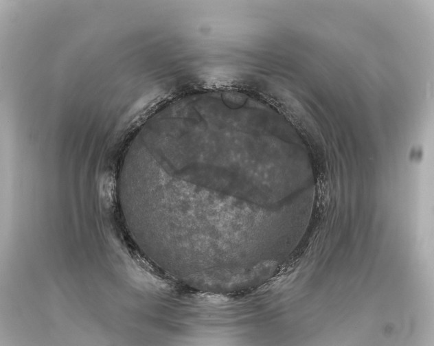 X0000094190648200711021029