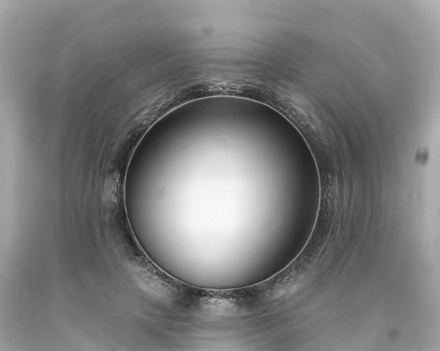 X0000094190649200711021029