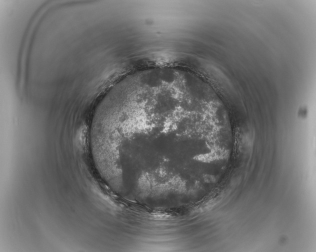 X0000094190650200711021029