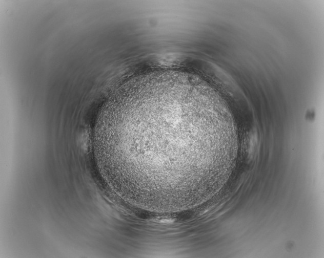 X0000094190651200711021029