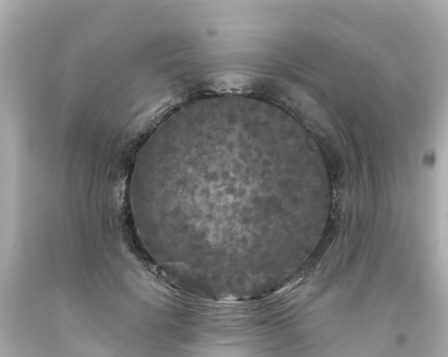 X0000094190652200711021029