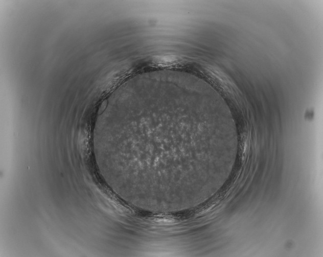 X0000094190653200711021029